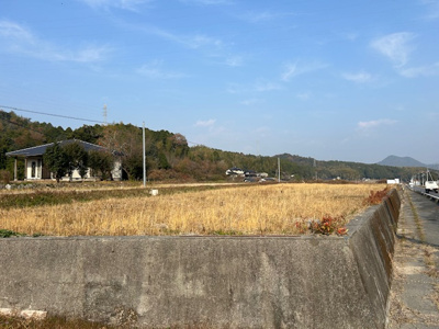 【その他】 | 柳井市伊陸大の口