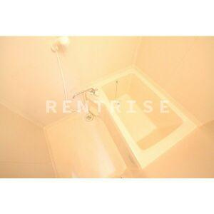 DUPLEX国王100Bの浴室