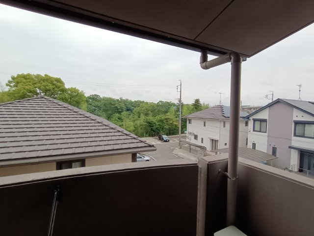 ピュアライフの展望