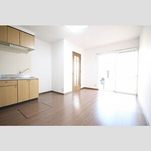 DUPLEX 国王100Bの居間・リビング