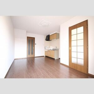 DUPLEX 国王100Bのその他