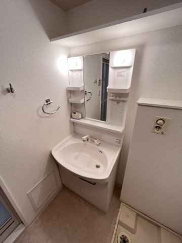 大阪市城東区成育２丁目の賃貸マンションの洗面所