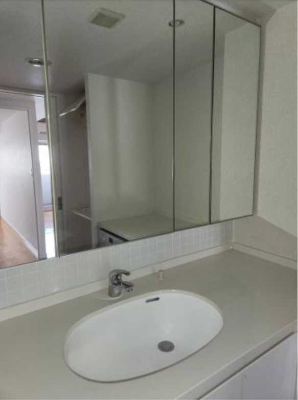 クリオ上野毛ラ・モード　敷金礼金0　フリーレント　ペット相談の洗面所