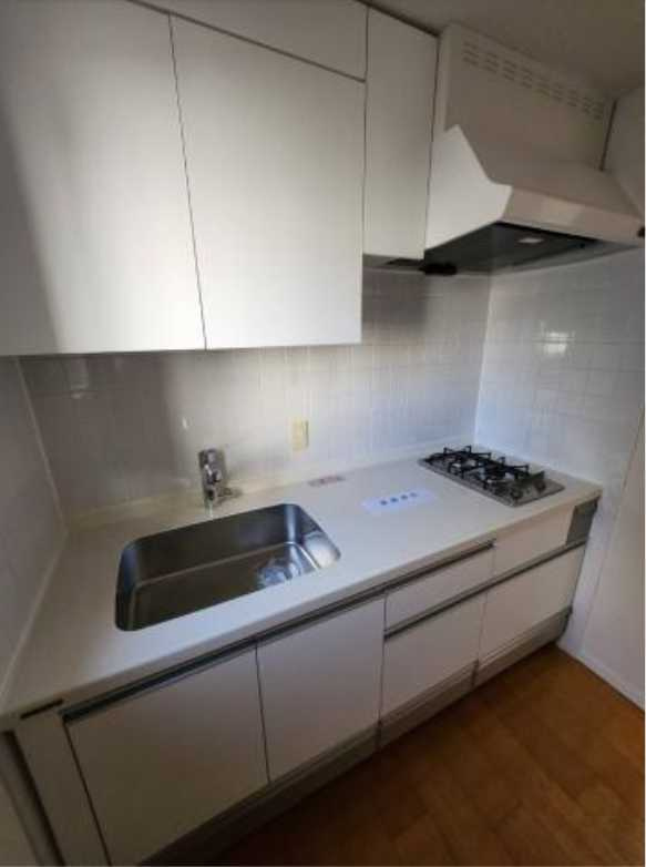 クリオ上野毛ラ・モード　敷金礼金0　フリーレント　ペット相談のキッチン