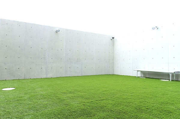 コミュニティガーデンなごやの庭