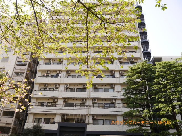 【外観】 | ライオンズマンション板橋区役所前 | 平成築の新耐震基準適合マンション！太陽に愛された邸は、陽当り・通風に優れた魅力的で快適さを追求した邸宅。