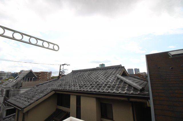 フェリセス・コヒナタの展望