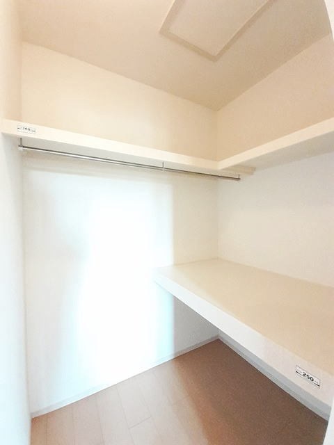 ルミナス・Ｍのその他