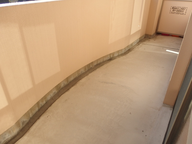 シャンデテ西三田ケ入のバルコニー