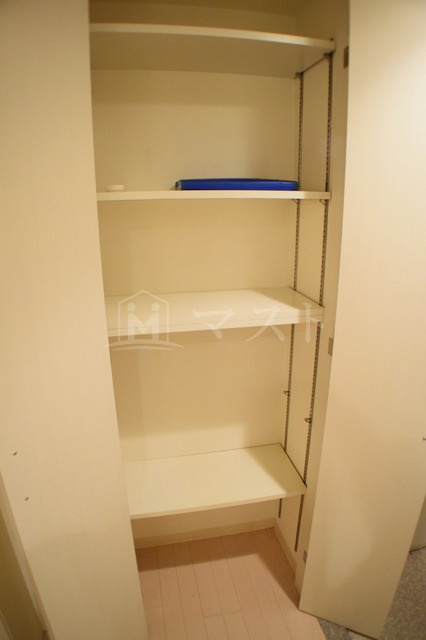 プレサンス難波南アーバニッシュの収納