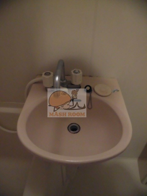 エスコート中野大和町の洗面所