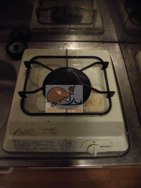 エスコート中野大和町