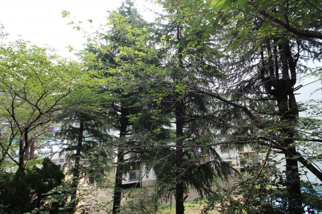 サムティ南多聞台の展望