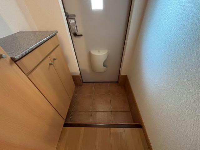 グランデ・カーサⅡの玄関