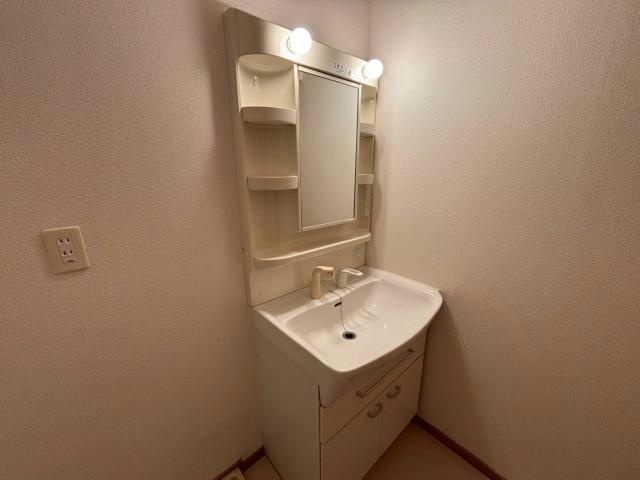 グランデ・カーサⅡの独立洗面台