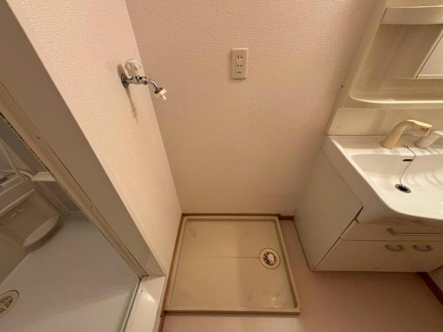 グランデ・カーサⅡの洗面所