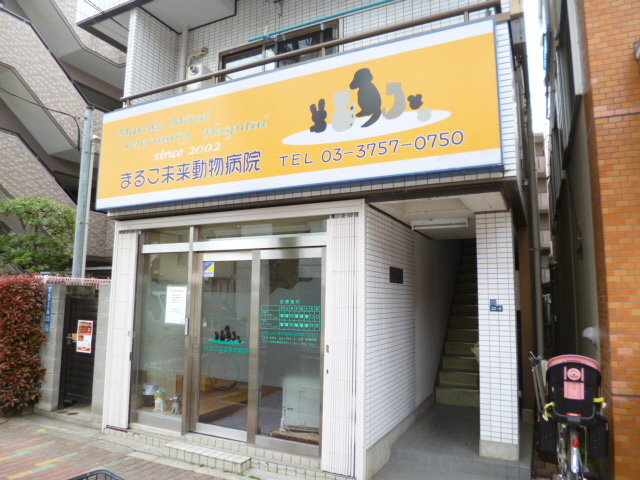 Sakuras　鵜の木のその他|まるこ未来動物病院