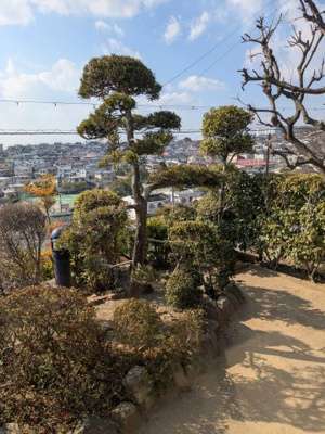 【庭】 | ■110万円値下げしました ■茨木市山手台四丁目 テラスハウス  | ■陽当たり・通風・眺望良好なロケーションです　■端家です
■広い南庭でガーデニングができます