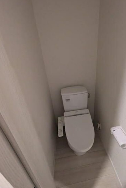 フィユフラッツ川越南のトイレ