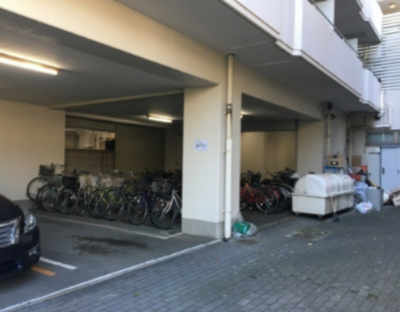 【その他】 | ドエル･ピュアネス