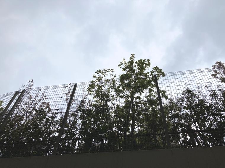 グランドメゾン桜新町の展望