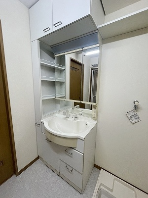 スターヴァレイサンクの独立洗面台