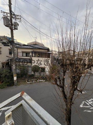 【展望】 | ピラミッドアネックス