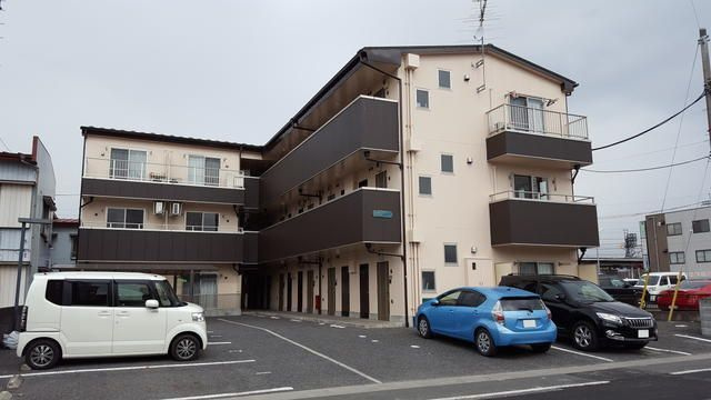 アイリッシュコート