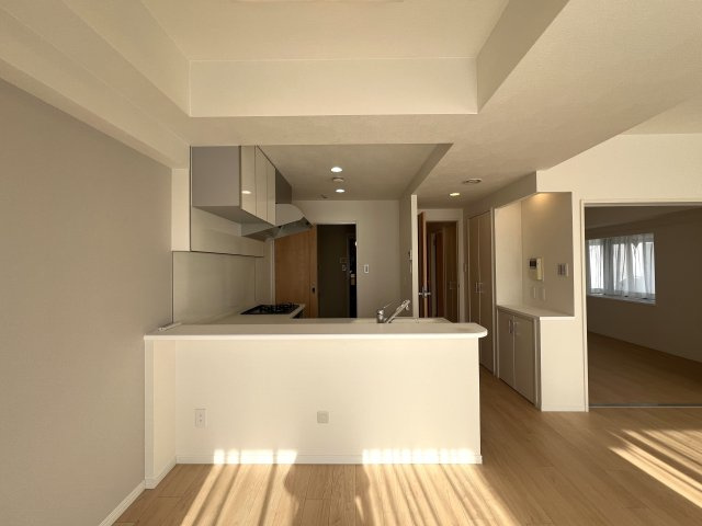 川崎と言えばカルナーザ。名前はライトなカルナーザ。重厚感のある建物はオモナーザ。【リノベ／カルナーザ川崎】の居間・リビング|ゆったりとしたリビングです