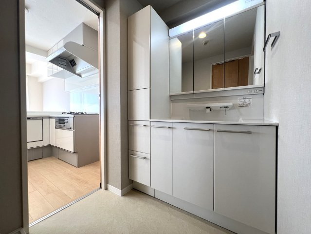 川崎と言えばカルナーザ。名前はライトなカルナーザ。重厚感のある建物はオモナーザ。【リノベ／カルナーザ川崎】の独立洗面台|独立洗面台です