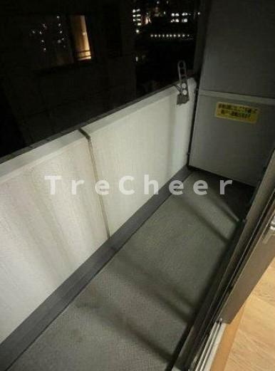 シンシア護国寺ステーションプラザのバルコニー