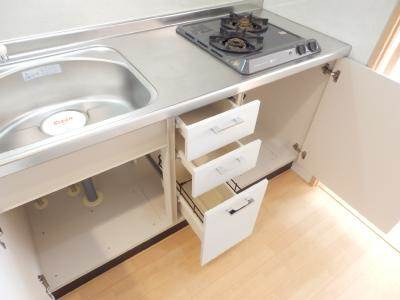 HF四条河原町レジデンスのキッチン|キッチン下収納