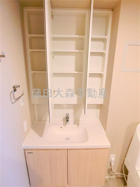 The Aigrette Minami-Kamataジ・エグレットミナミカマタ@仲介手数料無料の洗面所