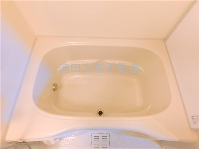 The Aigrette Minami-Kamataジ・エグレットミナミカマタ@仲介手数料無料の浴室