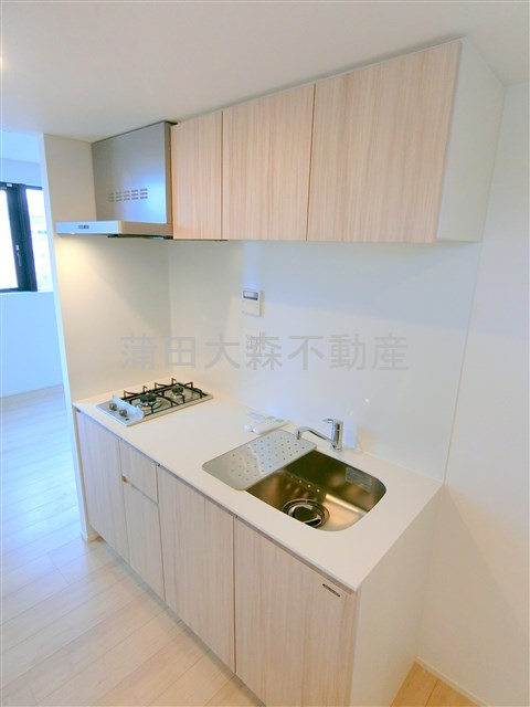 The Aigrette Minami-Kamataジ・エグレットミナミカマタ@仲介手数料無料のキッチン|2口ガスシステムキッチン