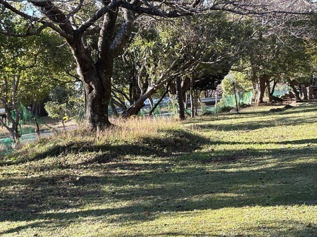 沼津市　戸田 の外観