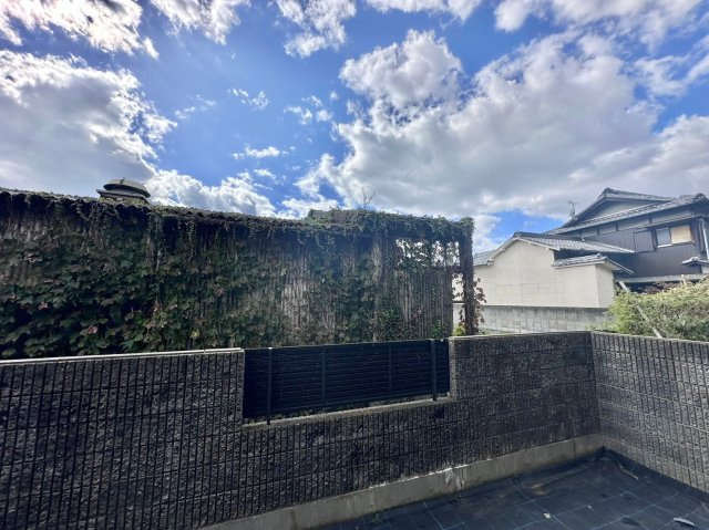 パーム・コートの展望