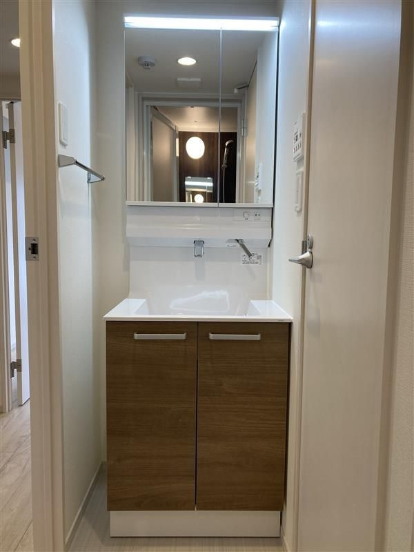 リブリ・北越谷の洗面所