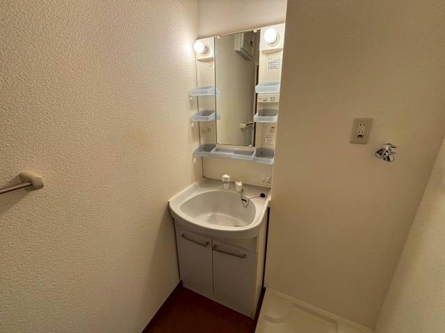 メイプルコート佐土の洗面所