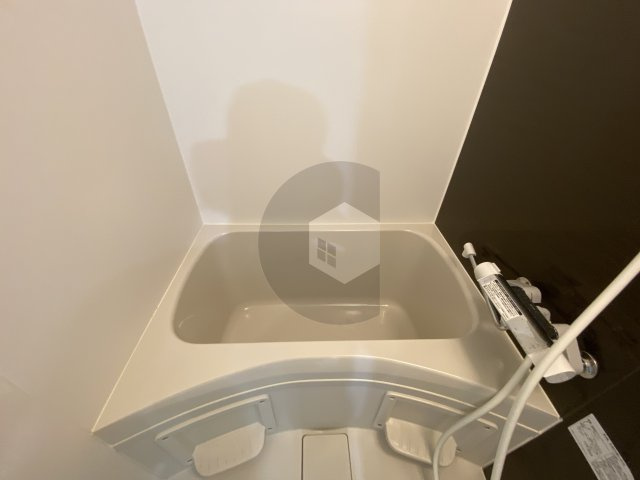 D porta Scalar1の浴室