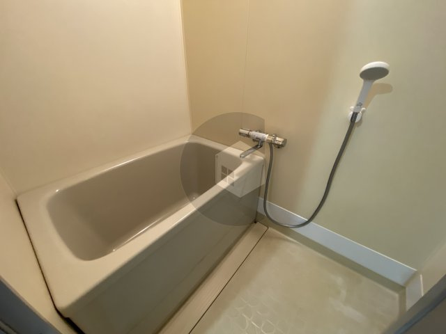 ルミエール織田の浴室