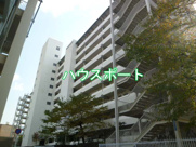 山科団地D棟の画像