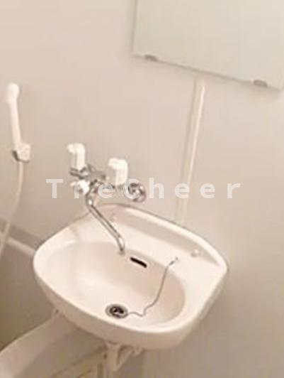 スカイコート新宿御苑前の洗面所