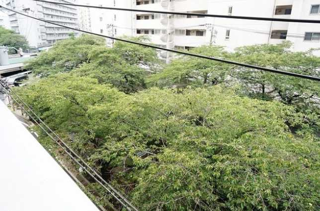パークフラッツ中目黒　ペット相談　目黒川沿い　トランクルームの展望