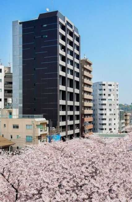 パークフラッツ中目黒　ペット相談　目黒川沿い　トランクルーム