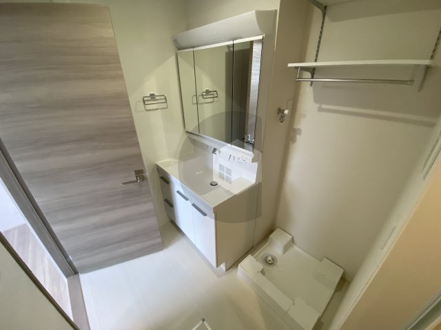 スプランデュール高井田の洗面所