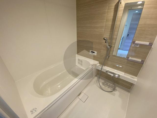 スプランデュール高井田の浴室