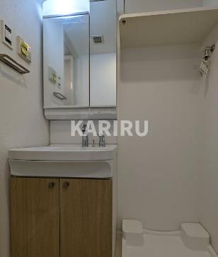 エスリード大阪城EASTの洗面所