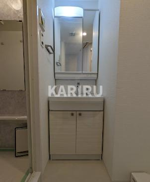 エスリード大阪城EASTの洗面所