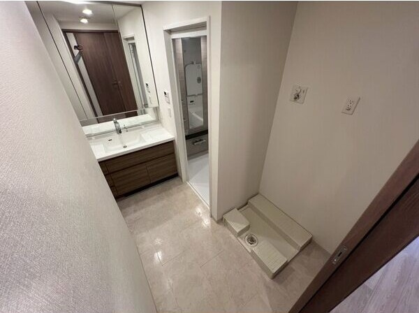 プレミスト一社の洗面所